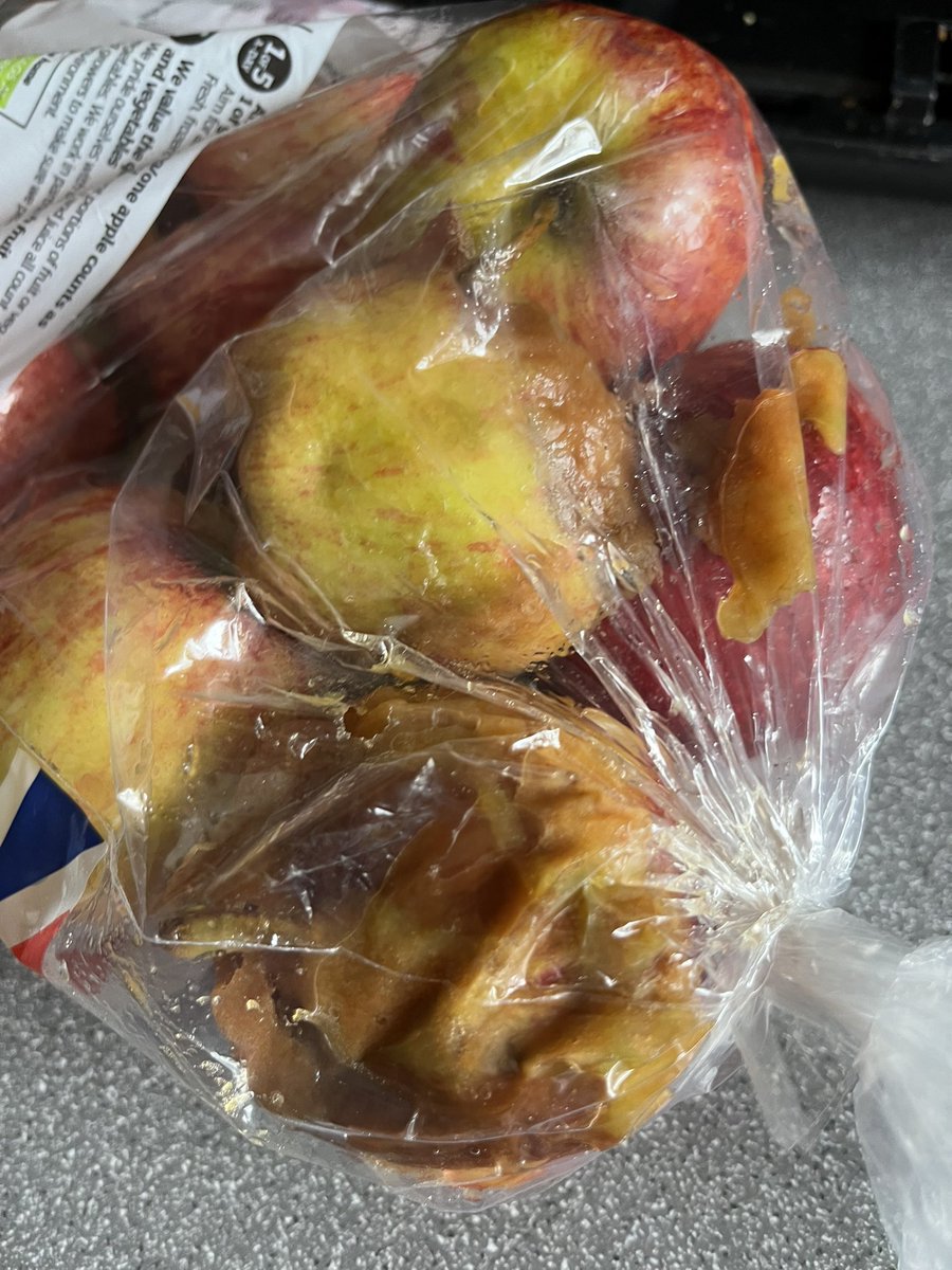 Rach Warwick tweet media