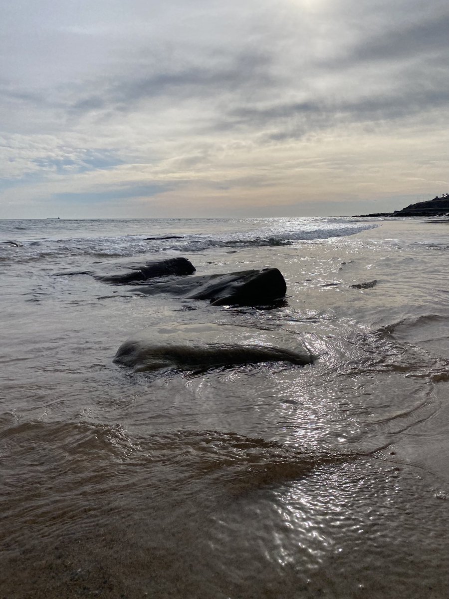 Rockpoolschool1's tweet image. Feel like I haven’t been here forever!! How pretty is it this morning!!! 

#whitleybay #seafront #sunshine #seaside #sand #lovewhereyoulive