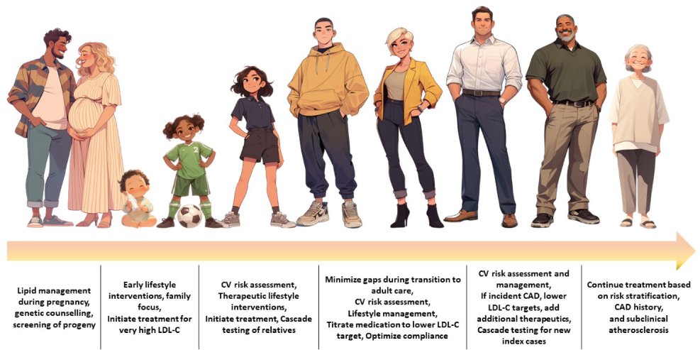 🆕 Hipercolesterolemia familiar: Diagnóstico y tratamiento en las distintas etapas de la vida.

📕 JAHA
🔓 Resumen del artículo en cardioteca.com/lipidos-blog/6…