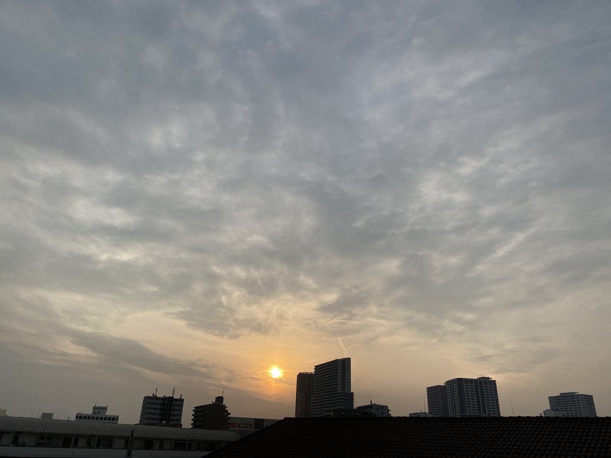 junmamm's tweet photo. 本日もお疲れ様でした!
乾杯🍻
ご神木じゃなくて
「標本木」😅
昨日かな?開花宣言出てました🌸
結構咲いてた!
からの黄砂の中の
#夕景プロジェクト
昨日 #AELU で買ってきた #山田隆太郎 さんの片口♡これで日本酒飲むのが夢でした😍(叶った💚) https://t.co/CH1rsl04Mk