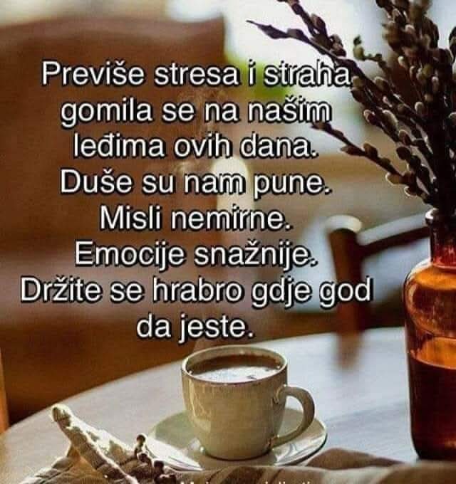 stankoholcer's tweet photo. https://t.co/oIqDuTa3cm