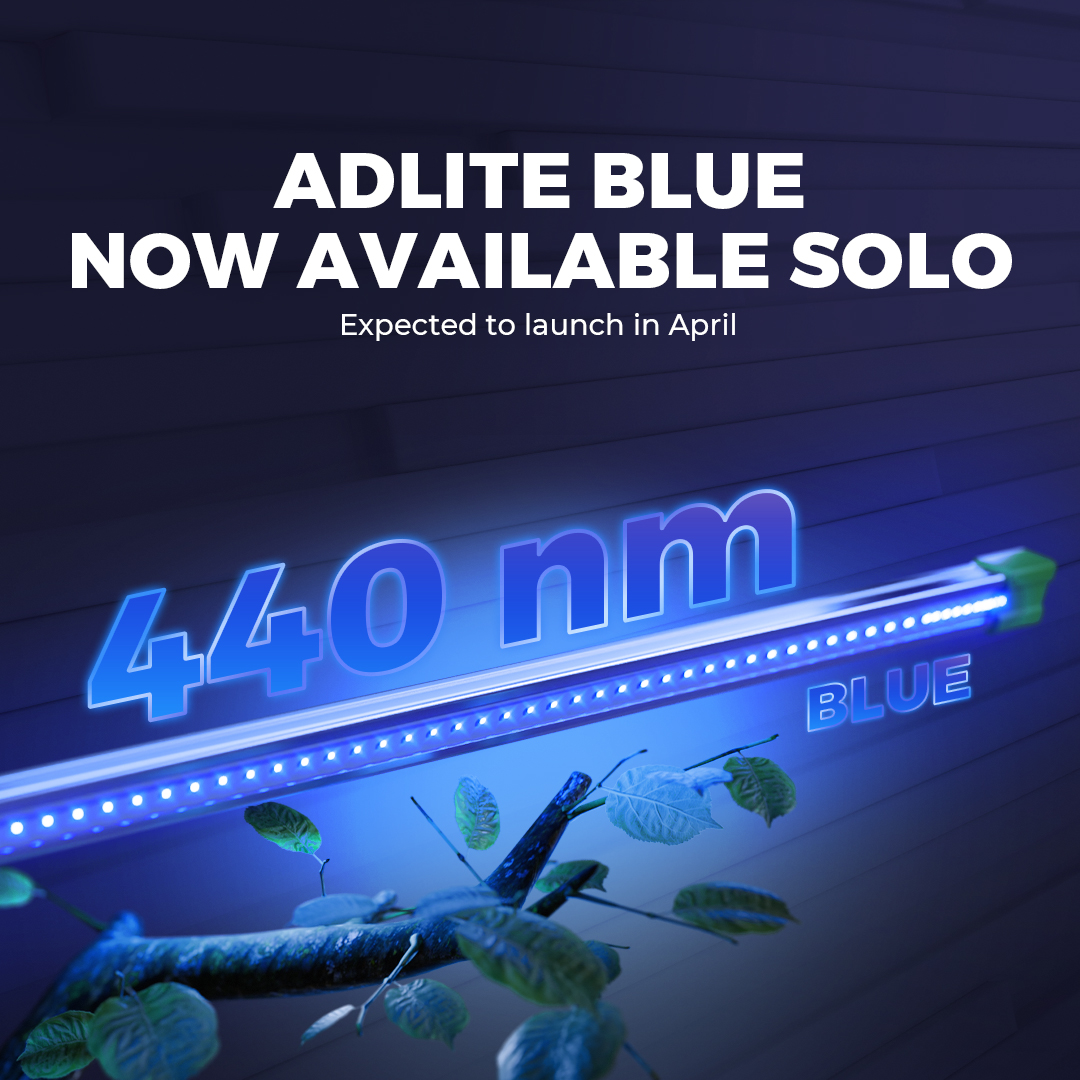 MarsHydroLight's tweet photo. 📢 Breaking News! 📢
The Wait Is Over, ADlite Blue Now Available Individually! 💡
Get the latest updates by subscribing to our newsletter. 🔔
Sign up here ➡ https://t.co/qORk88CuZQ
#marshydro #ADlite #ADlitesupplementallight https://t.co/D8OoByawR3