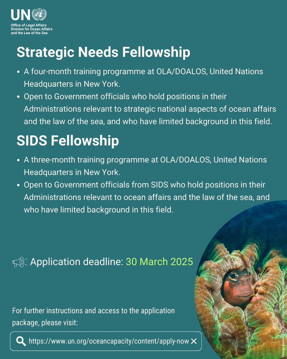 UN Ocean Decade (@unoceandecade) on Twitter photo ๐จ CLOSING SOON: APPLY BY 30 MARCH! ๐จ <a href="/undoalos/">Division for Ocean Affairs and the Law of the Sea</a> is accepting applications for two fellowships:
๐ต 2025 Strategic Needs Fellowship: ow.ly/eJhh50VoPWG
๐ต 2025 Ocean Governance Fellowship for SIDS: ow.ly/mzoN50VoPWH
Don't miss outโapply now! ๐จ CLOSING SOON: APPLY BY 30 MARCH! ๐จ <a href="/undoalos/">Division for Ocean Affairs and the Law of the Sea</a> is accepting applications for two fellowships:
๐ต 2025 Strategic Needs Fellowship: ow.ly/eJhh50VoPWG
๐ต 2025 Ocean Governance Fellowship for SIDS: ow.ly/mzoN50VoPWH
Don't miss outโapply now!