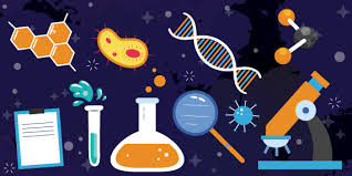 #Funding! Call for #PhD #Studentships. Available to host in #Macau as well as part of joint-PhD with #Portugal. #Biology #Microbiology #Biotechnology #EnvironmentalSciences #Neurosciences
fct.pt/en/concursos/c…