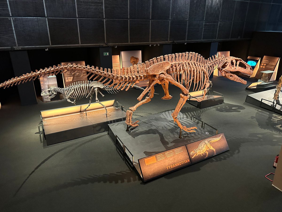 Ttionline's tweet photo. 🦖 ¡Últimos días para visitar la exposición “Dinosaurios de la Patagonia” en CaixaForum Madrid!

https://t.co/ZLhyCfPm63 

#Tti #DinosauriosDeLaPatagonia #CaixaForum https://t.co/Y7XwKTmawP