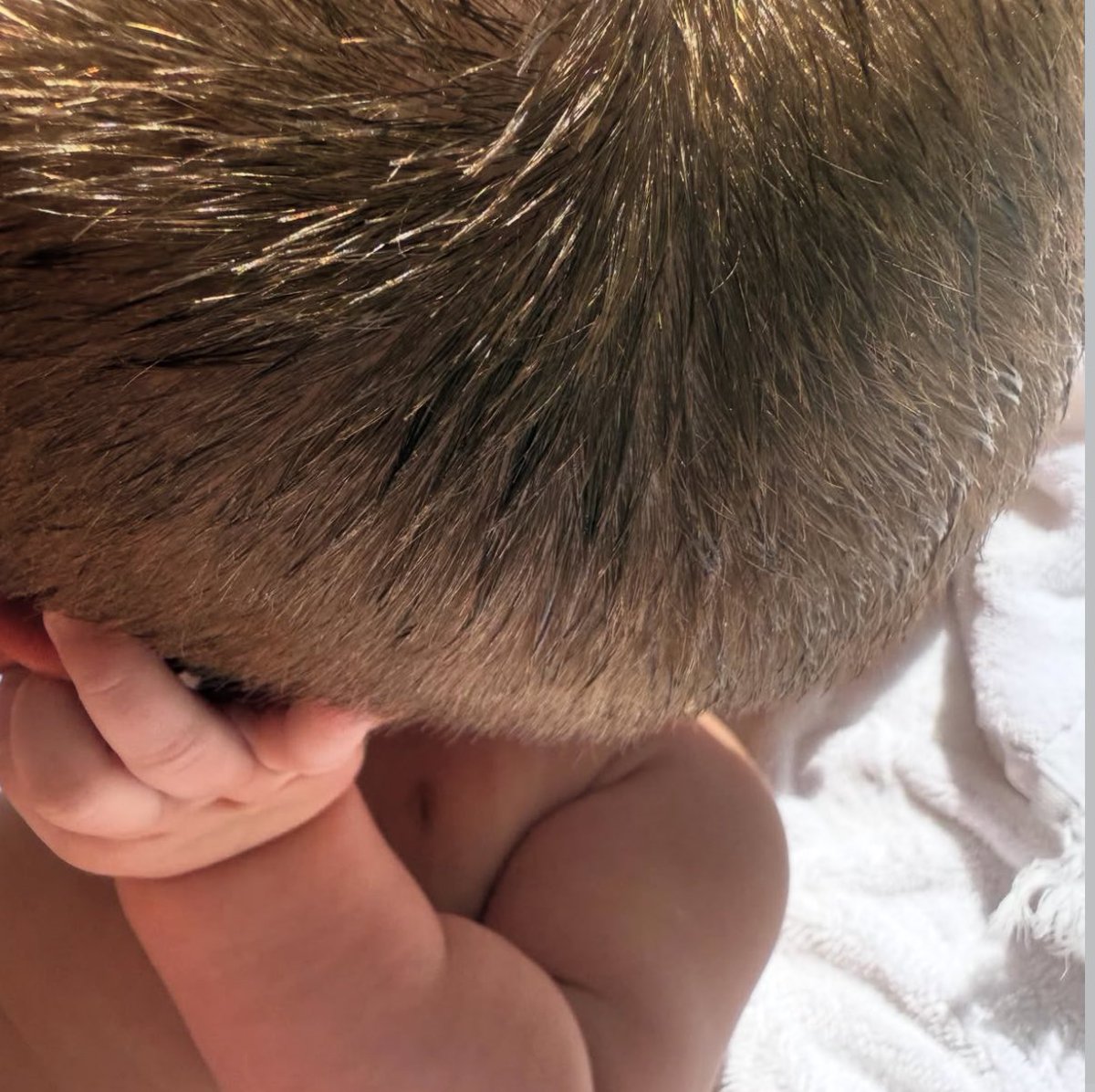 trstollg's tweet photo. ELE É LOIRINHO MEU DEUS AS MÃOZINHAS GORDINHAS NA ORELHA DO PAPAI OS BRACINHOS VO MORRER JACK BLUES https://t.co/GGhTL9QaIU