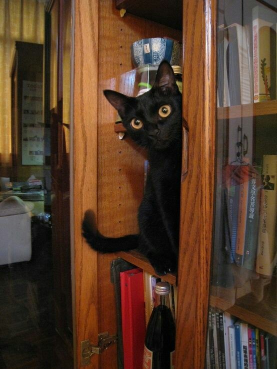 poetical photos. (@poeticalphotos) on Twitter photo 