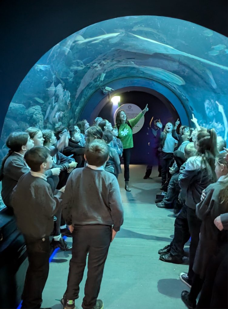 Isaac Newton Primary School tweet media