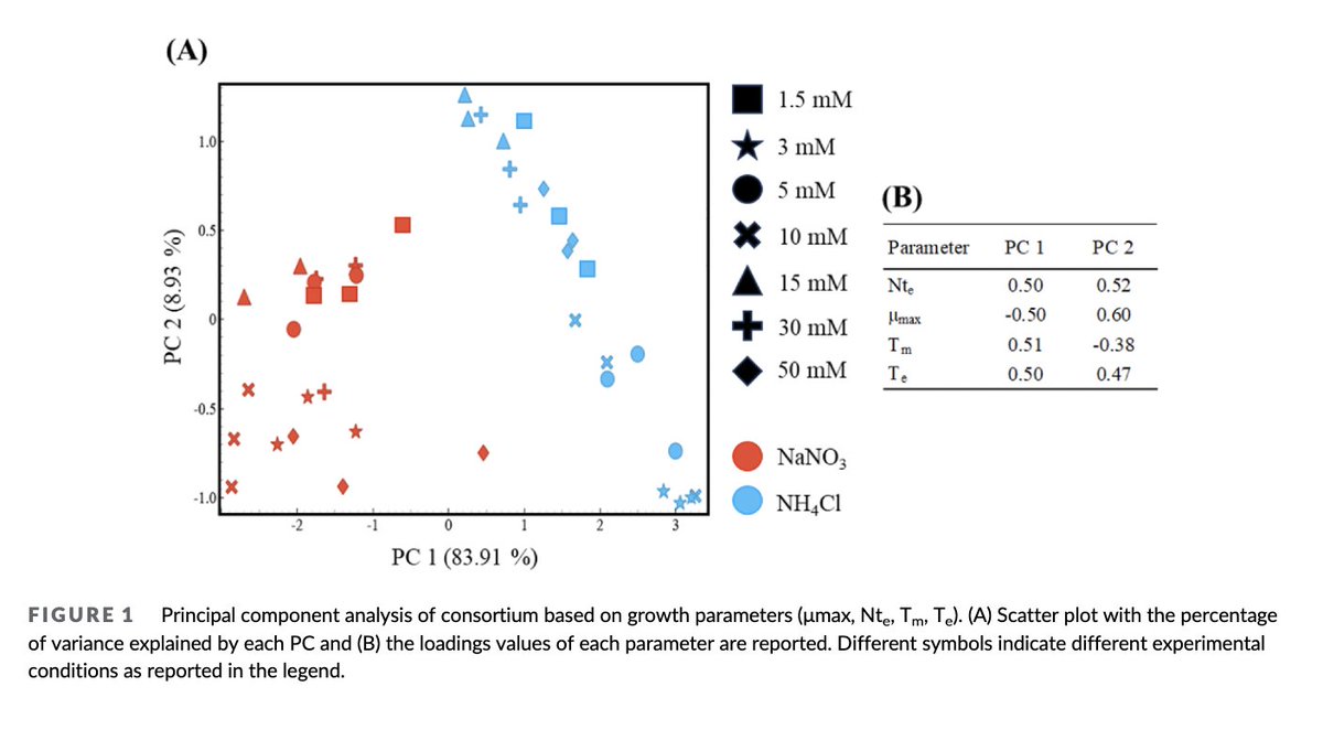 PPLplantarum's tweet image. Microalgae monoculture vs. polyculture 🌱

The authors found that polycultures outperform monocultures in ammonium-rich environments! 
Could algal diversity be the key to better wastewater treatment? 🤔🔬

 bit.ly/4hJJnmX 

#Microalgae #plantsci