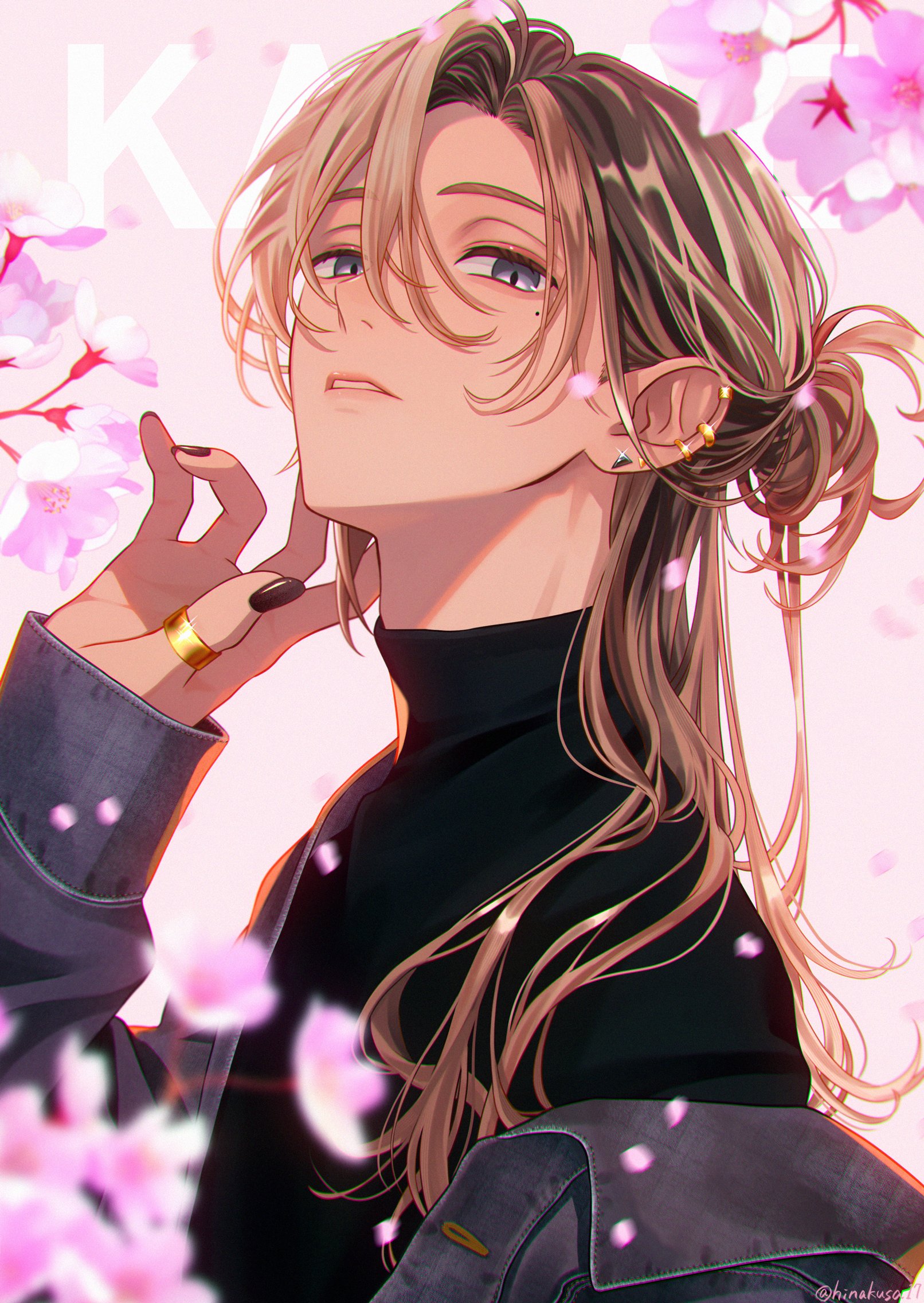 飛喃草 (@hinakusa17) / X