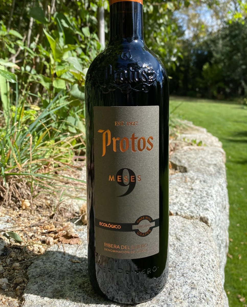 Bodegas_Protos's tweet photo. Descubre el sabor de lo auténtico 🍇🌿🍷
#Protos9meses #ProtosEcologico #VinoEcológico https://t.co/Rjr1eXui64