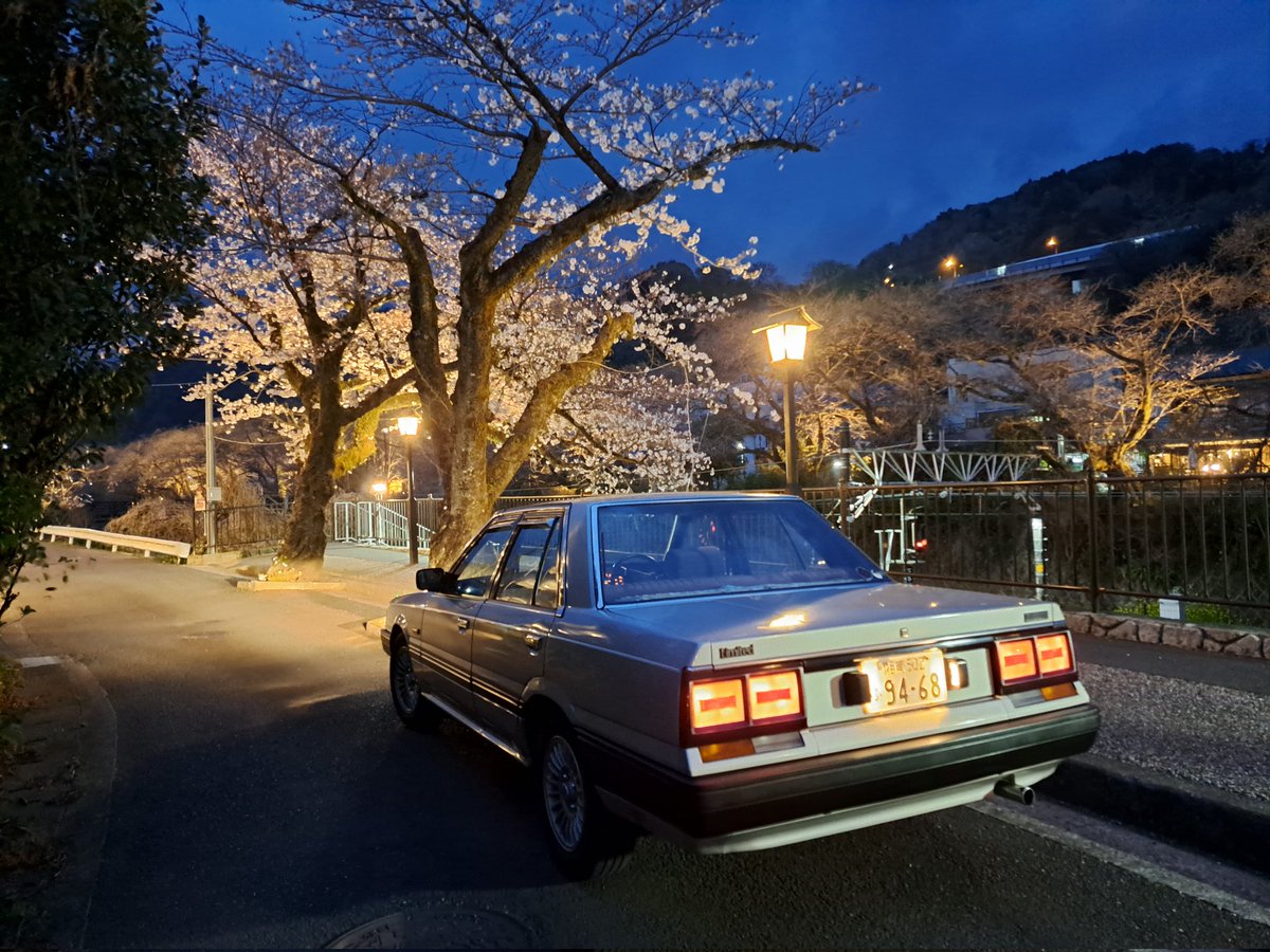 仕事帰りに寄り道帰宅
御殿場線の🌸サクラ並木が開花してた♪