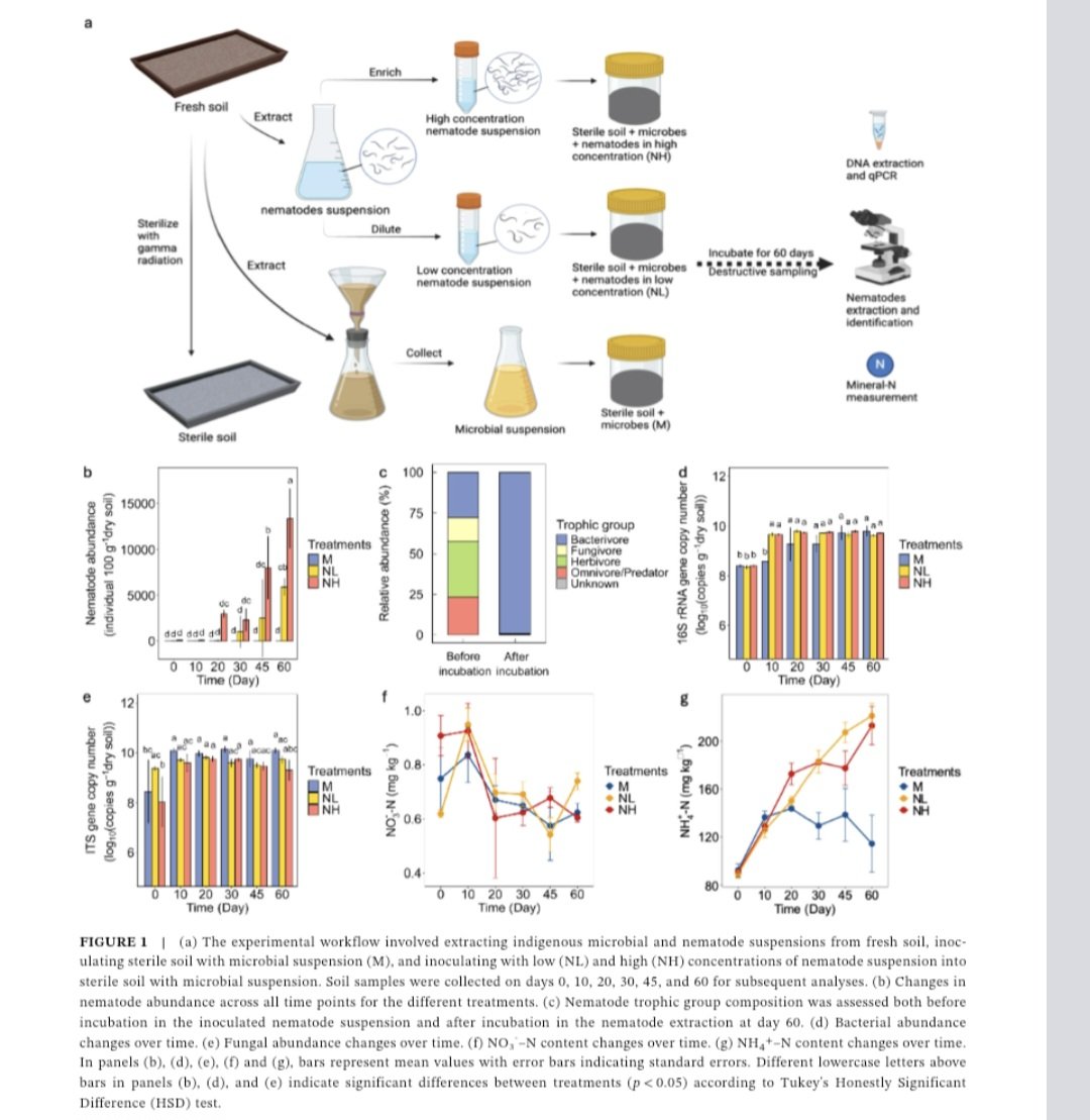 Reza Ghaderi (@rghaderi294) on Twitter photo Thrilled to announce another publication from soil fauna project at UOM, as a part of the PhD thesis of Shuo Na, and correspondence from <a href="/HangweiHu/">Hangwei Hu</a>. Published in Journal of Sustainable Agriculture and Environment, <a href="/CropGlobal/">Global Sustainable Agriculture & Environment</a>. Find it here: onlinelibrary.wiley.com/doi/full/10.10… Thrilled to announce another publication from soil fauna project at UOM, as a part of the PhD thesis of Shuo Na, and correspondence from <a href="/HangweiHu/">Hangwei Hu</a>. Published in Journal of Sustainable Agriculture and Environment, <a href="/CropGlobal/">Global Sustainable Agriculture & Environment</a>. Find it here: onlinelibrary.wiley.com/doi/full/10.10…