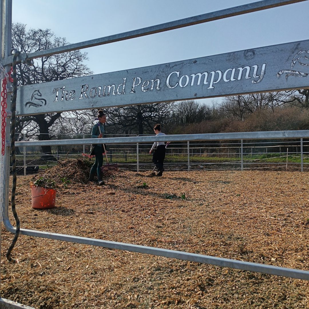 Our amazing Round Pen Company pen is providing a much needed extra safe space as the weather improves and the yard gets busier.
#roundpen #safespace #equinetherapy