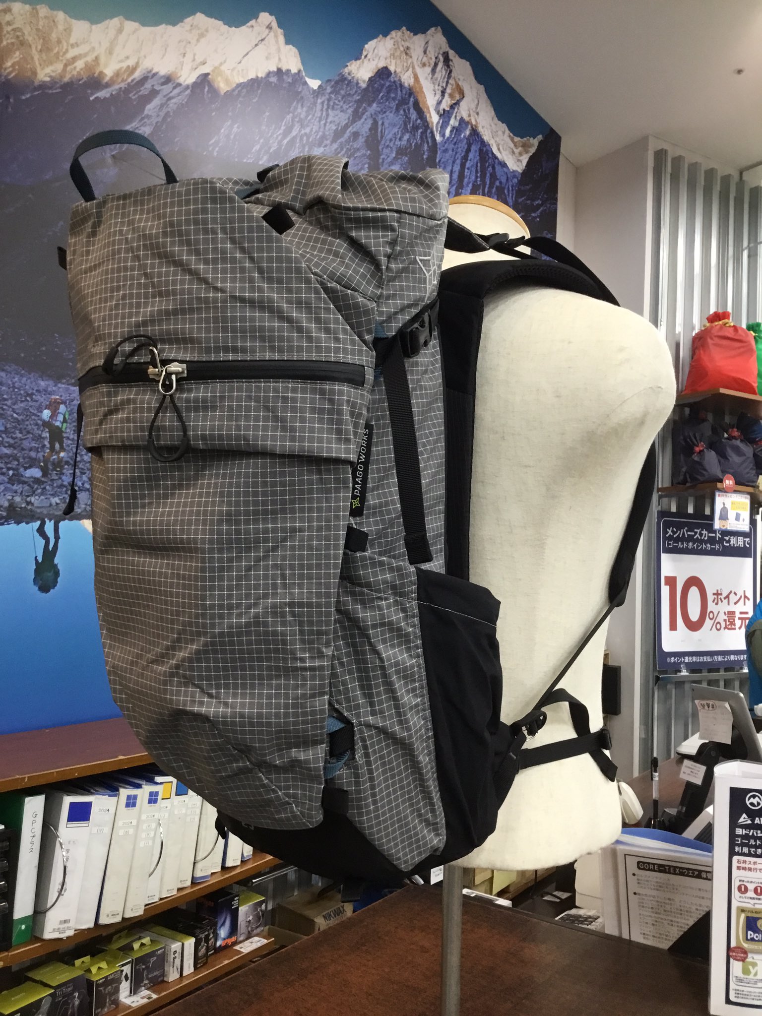 パコ ちどり産業 収納ボックス 取っ手付き 幅26×奥行15×高さ13cm L
