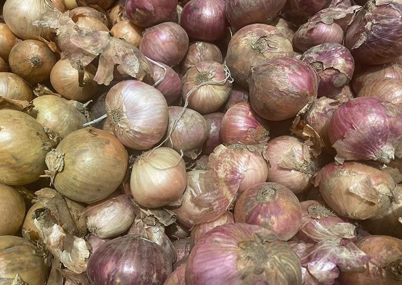 [Relire] Au Nord du Cameroun, les producteurs d’oignon face aux chutes de rendement
agripreneursdafrique.com/article/au-nor…