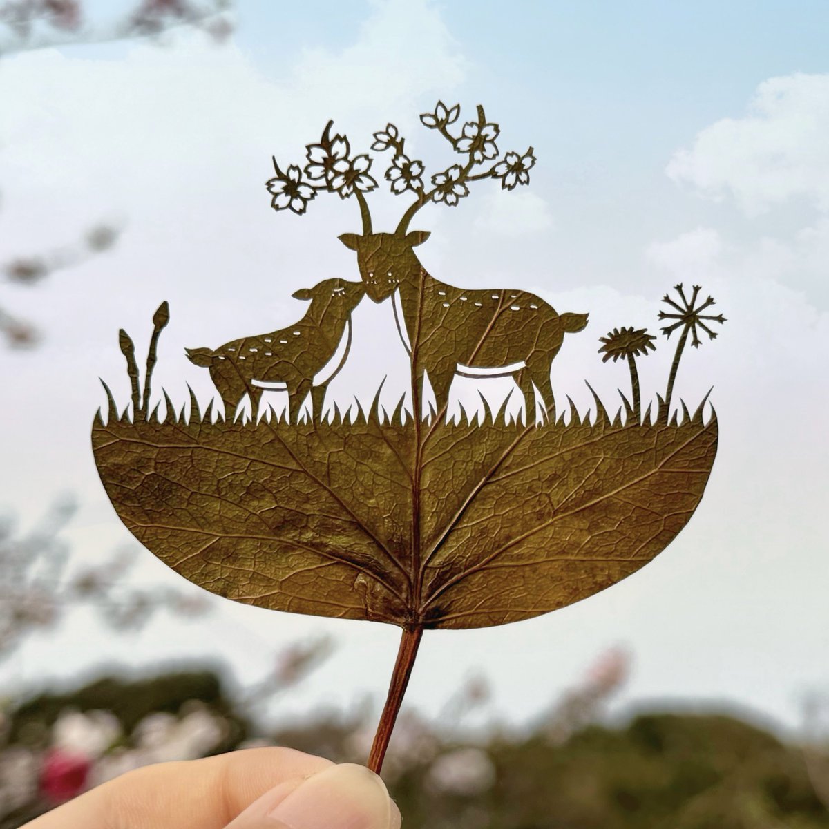 ｢もしかして、ボクにも春が来たのかな🌸｣

今日3月27日は…
#さくらの日