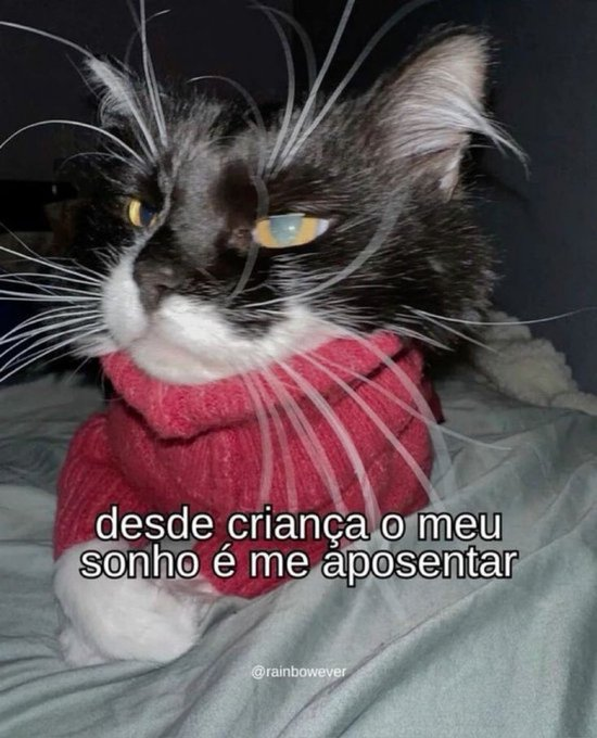 oigatuna tweet picture