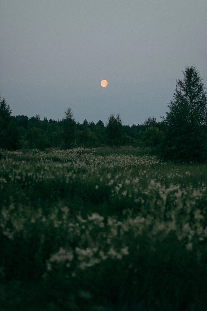elemmiressoul's tweet photo. so peaceful. https://t.co/YRctBefTbI