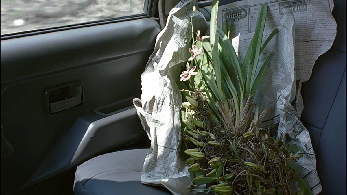 Syndromes and a Century แสงศตวรรษ (2006) dir. Apichatpong Weerasethakul