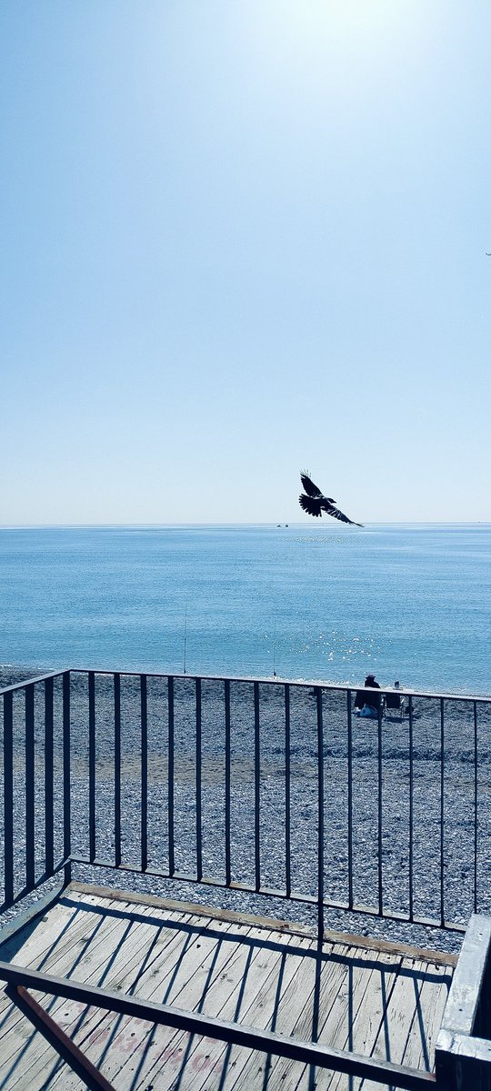 #tjktvyarişzamanı
Antalya Konyaaltı Hava yaz Gibi Çok Güzel Hilal Hanim Bayram Hazır Gibi Şimdiden TJk Ve Yorumcular Tüm Yarışzamani  ekip Bayram cani gönülden Kutluyorum