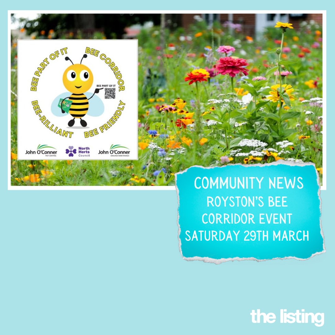 Royston is about to get a whole lot bee-friendlier!  

Join the “Bee Part Of It” event this Sat 29 March at Priory Memorial Gardens (10am-2pm) for a buzzing good time! 

To read more: 
bit.ly/RoystonsBeePar…
⁠
#BeePartOfIt #BeeFriendlyRoyston #BeeCorridor #NorthHertsCouncil