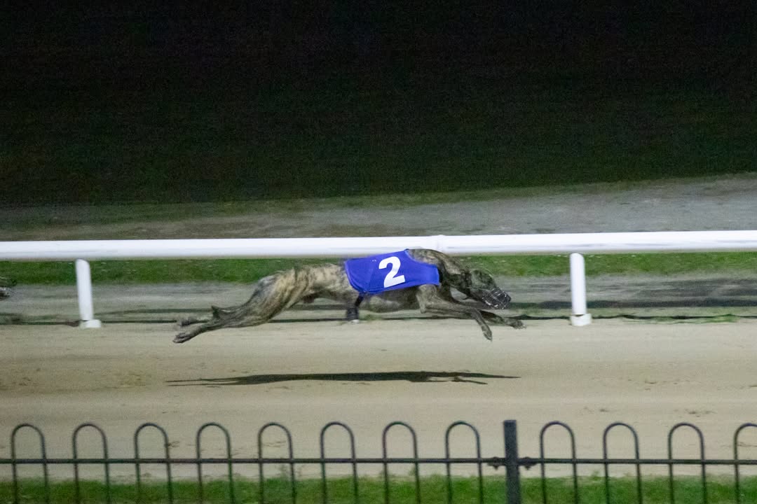 Take 2! Reminder that our cancelled racecard from last Friday night will run tonight, Thursday 27th March, at Curraheen Park. 

Our groundfloor facilities (fast-food &amp; bar) will be open so why not come join us. 

1st Race 7.35pm

#Cork #GoGreyhoundRacing #ThisRunsDeep