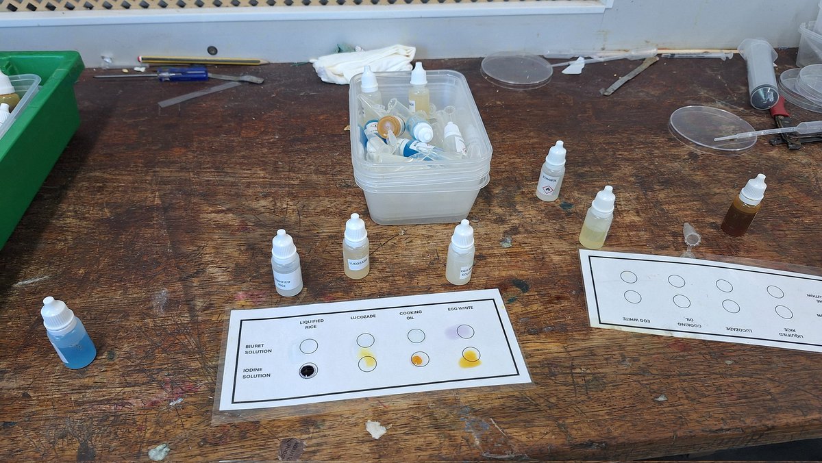 Bearslady69's tweet image. Prepping for tomorrow&apos;s food tests lesson. #microscale #TECHOGNITION @Philip_HarrisUK @VITTAEducation @Preproom