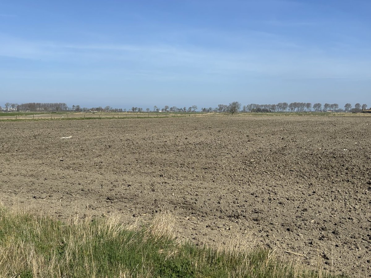 Geniet nog van dit typisch vlak Polderzicht. Vandaag stemt de provincieraad in met een ruimtelijk uitvoeringsplan dat de baan vrijmaakt om de aanleg van een compleet overbodige weg naar het casino van Middelkerke mogelijk te maken. ⁦Jackpot voor…, ja voor wie? ⁦<a href="/WMF_Bart/">WMF</a>⁩