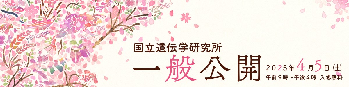 🧬4/5一般公開のご連絡です🌸
Q.  シャトルバスって何人くらい乗れるの？
A.  約５０人は乗れる大型バスが運行する予定です。
nig.ac.jp/koukai/koukai2…