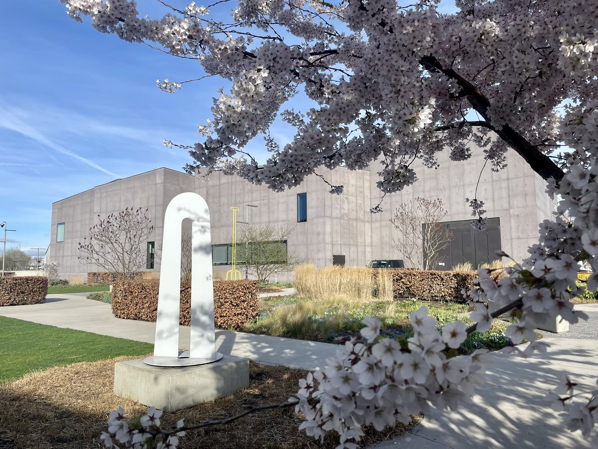 Gorgeous Cherry Blossom on show at <a href="/HepworthGallery/">The Hepworth Wakefield</a> <a href="/WkfdOfficial/">Wakefield Official News</a> <a href="/WakeExpress/">Wakefield Express</a> <a href="/Expwakefield/">Experience Wakefield</a> <a href="/BBCLookNorth/">BBC Yorkshire</a> <a href="/bbcweather/">BBC Weather</a> <a href="/PandCExpress/">Pont & Cas Express</a> <a href="/Hudsonweather/">Paul Hudson</a> <a href="/katerinaweather/">Katerina Christodoulou</a> <a href="/KeeleyDonovan/">Keeley Donovan</a> <a href="/BBCWthrWatchers/">BBC Weather Watchers</a>