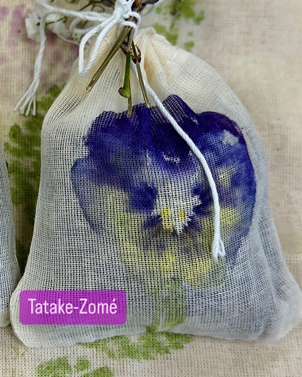 HCGAGardens's tweet image. 🌿✨ Our 8-week Nature Connection and Indoor Gardening course with @SMARTLondon came to a beautiful end last Thursday! What an amazing journey it’s been, from exploring the power of essential oils for nature connection to creating our own botanical cards.
#AdultLearning 
#Nature