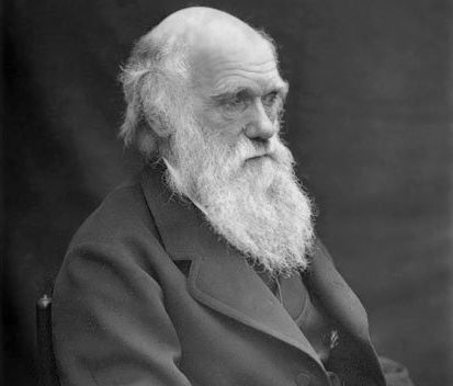 FossilHistory's tweet image. Charles Darwin wrote to Alfred Russel Wallace #OnThisDay in 1869, "I hope you have not murdered too completely your own & my child." He was referring to their joint theory of evolution, upon learning Wallace didn't believe it extended to humans.