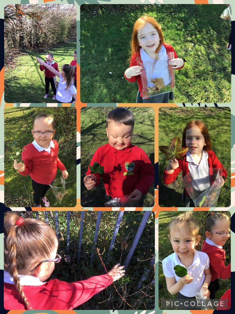Mrs H Darmanin (@mrshdarmanin95) on Twitter photo Dosbarth dau collected natural items today. We talked about how to identify different leaves and plants around our school. 🍀🍁🌷<a href="/MissDalton98/">Miss Dalton</a> <a href="/MissKAllen95/">Miss Allen</a> <a href="/garntegprimary/">Garnteg Primary</a> Dosbarth dau collected natural items today. We talked about how to identify different leaves and plants around our school. 🍀🍁🌷<a href="/MissDalton98/">Miss Dalton</a> <a href="/MissKAllen95/">Miss Allen</a> <a href="/garntegprimary/">Garnteg Primary</a>