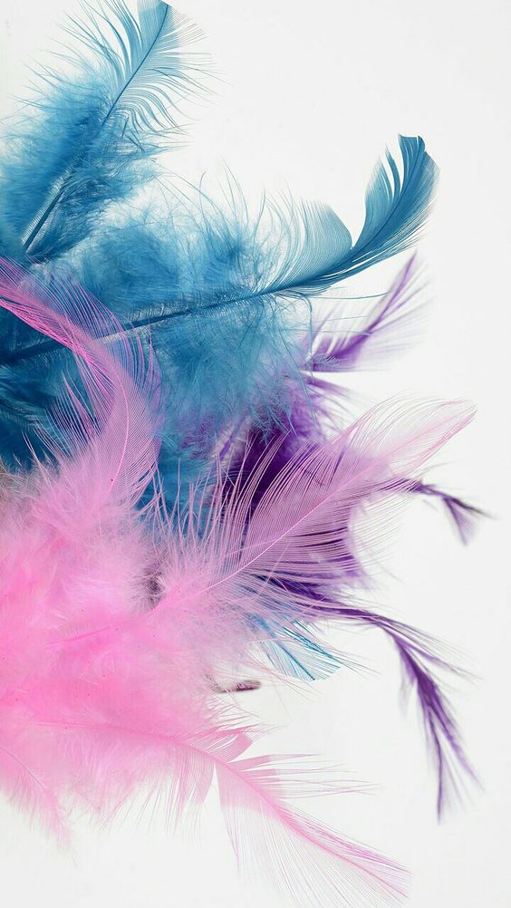 고곡창 (@gogokchang) on Twitter photo 