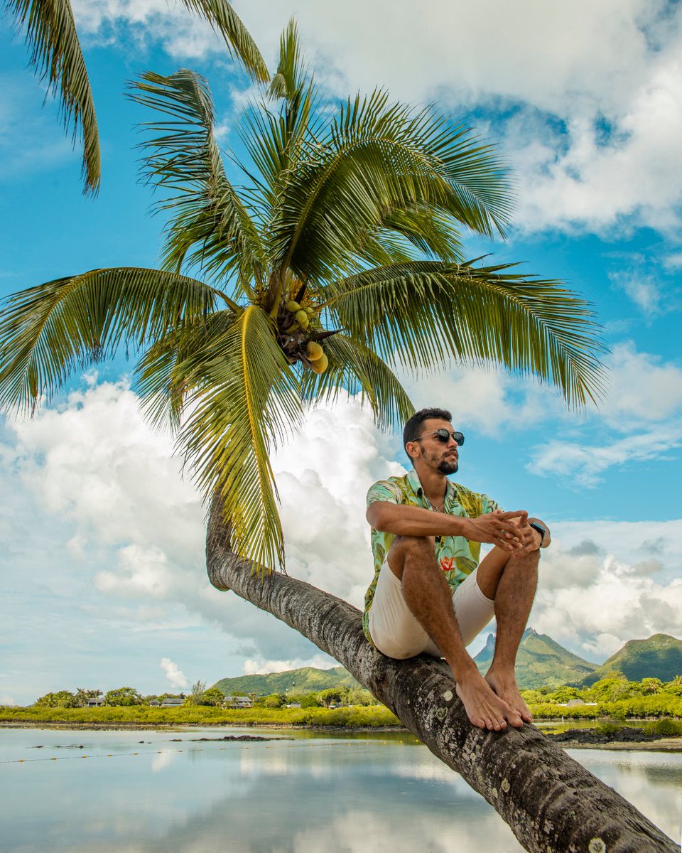 When the view is this good, staying grounded feels entirely optional.
There’s something enchanting about being perched on a coconut tree, surrounded by nothing but lush landscapes and island vibes.
#FSMauritius

📸 <a href="/dimitri_rault/">Dimitri Rault#Ethiopie#Leucémie</a>