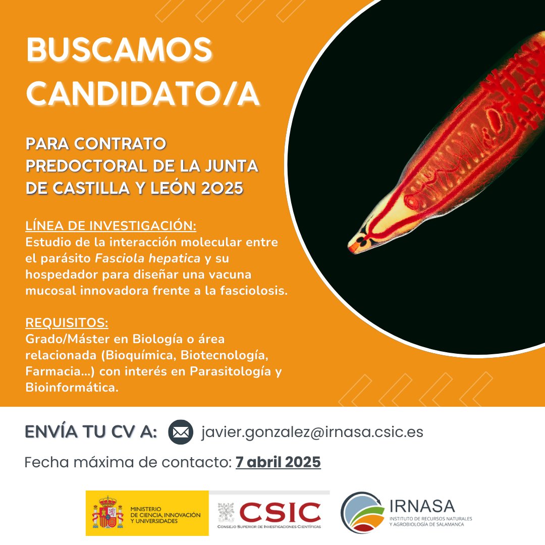 🙋 ¡Haz tu tesis con nosotros! 🔬 Buscamos candidato/a para un contrato predoctoral en el #IRNASA-CSIC. El objetivo: investigar una vacuna mucosal contra la #fasciolosis.

📩 Envía tu CV a javier.gonzalez@irnasa.csic.es antes del 7 de abril.

+Info en👉 irnasa.csic.es/oferta-de-cont…