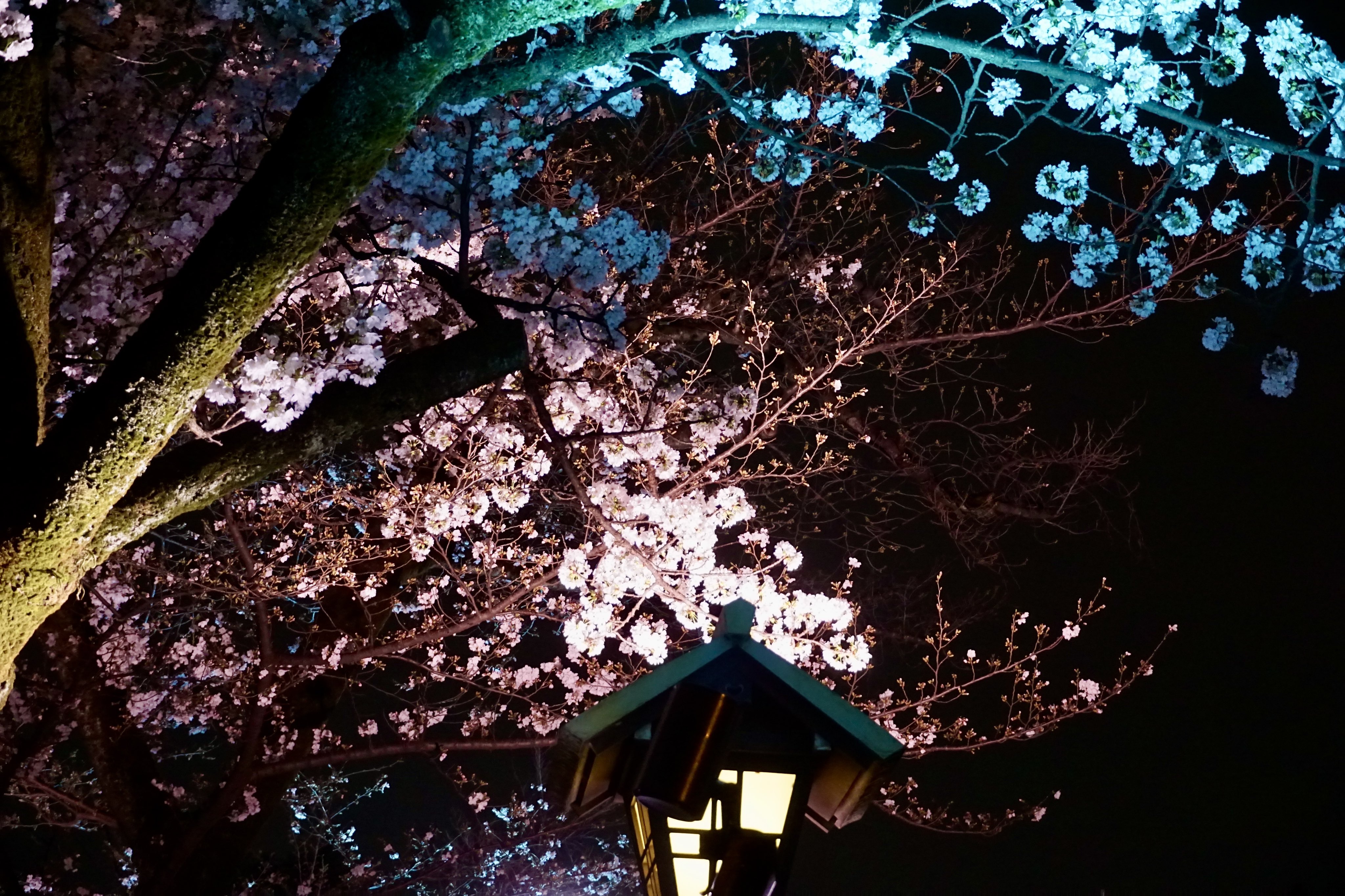 御朱印・神社メモ on X: 