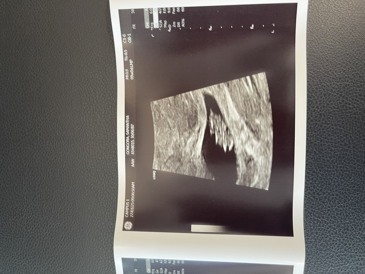 Cyrus Branford tweet media