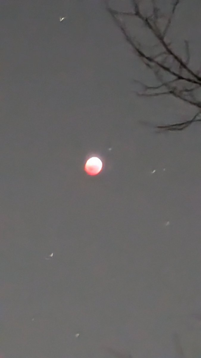 AndrewBaaske's tweet photo. @rosscoulthart @MailOnline Yeah I think that's actually a picture of the moon. I'll share the pictures I took: https://t.co/EVExG8Lnu7