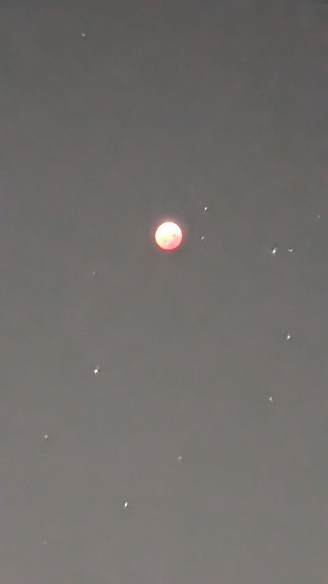 AndrewBaaske's tweet photo. @rosscoulthart @MailOnline Yeah I think that's actually a picture of the moon. I'll share the pictures I took: https://t.co/EVExG8Lnu7