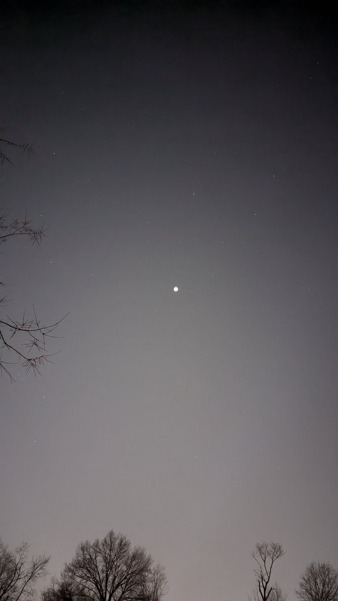AndrewBaaske's tweet photo. @rosscoulthart @MailOnline Yeah I think that's actually a picture of the moon. I'll share the pictures I took: https://t.co/EVExG8Lnu7