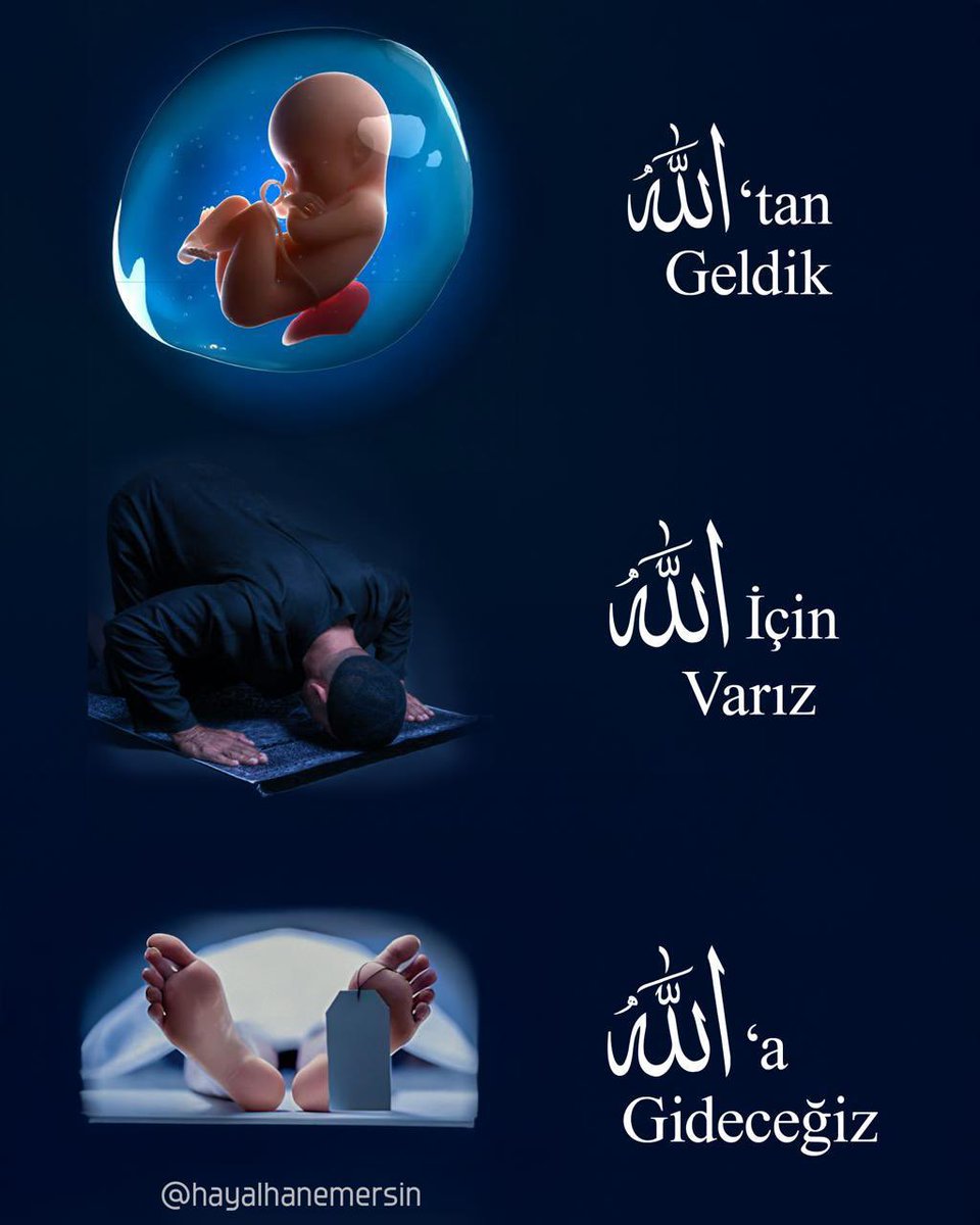 Hayalhanem (@hayalhanemersin) on Twitter photo 