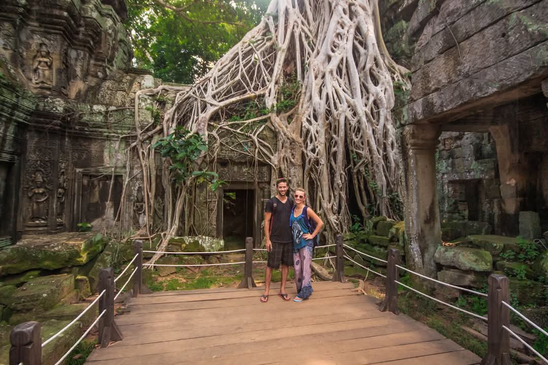 Lisa Perrin tweet media