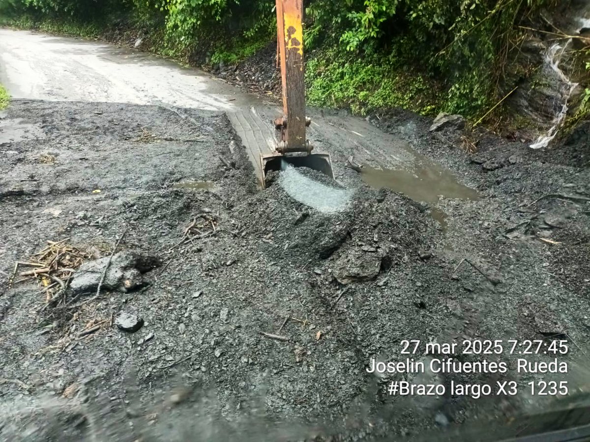 Jorge Emilio Rey Ángel tweet media