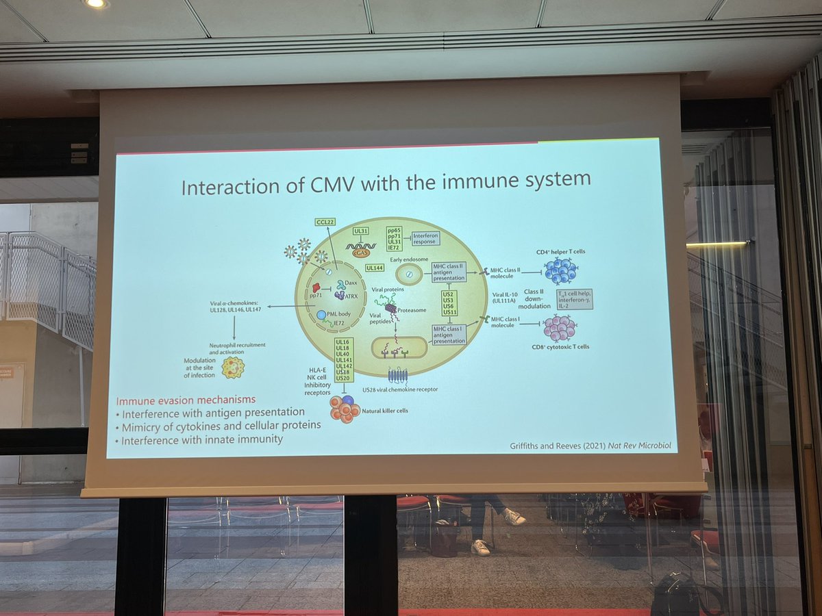 SFTfrancophone's tweet photo. From a better understanding of the host-virus relationship in SOT to diagnostic and therapeutic perspectives #CMV #SpringHits #SFT
@MartinaSester l Universität des Saarlandes https://t.co/LIwxPA0Ckk
