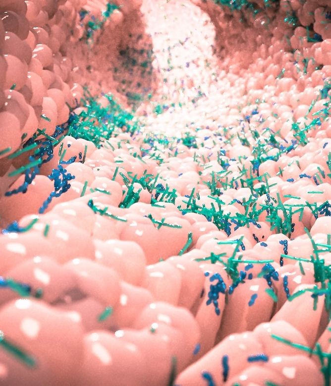 ejustin46's tweet photo. COVID-19 is anything but mild!

Consider a study involving 1,889 individuals from rural Honduras, examining the changes in their gut microbes over a two-year period due to COVID-19.

The findings are quite astonishing!
https://t.co/yBjJhaTcuG https://t.co/UH3Nye7FzN