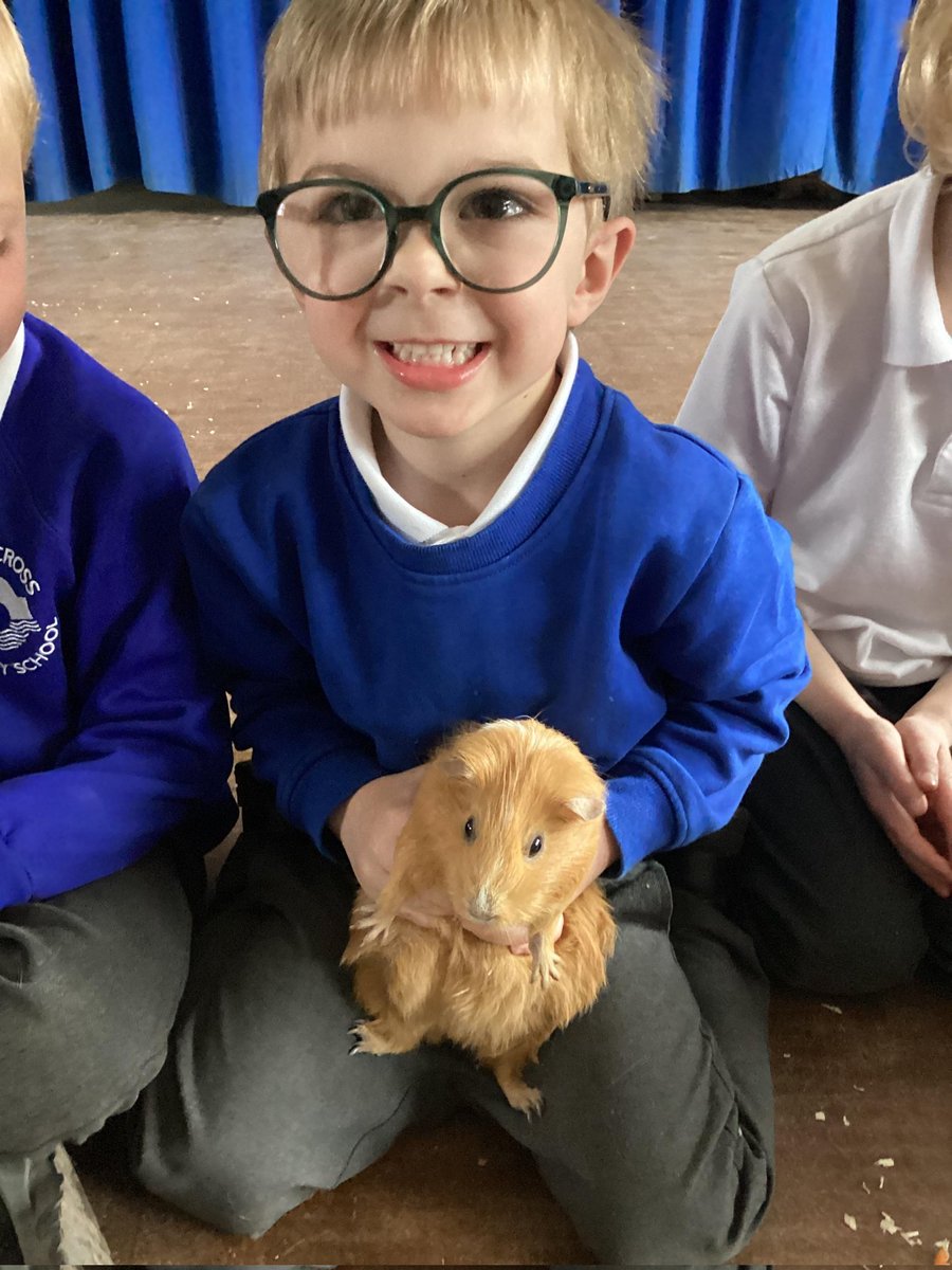 High Cross Primary School tweet media