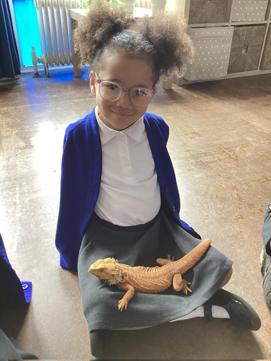 High Cross Primary School tweet media