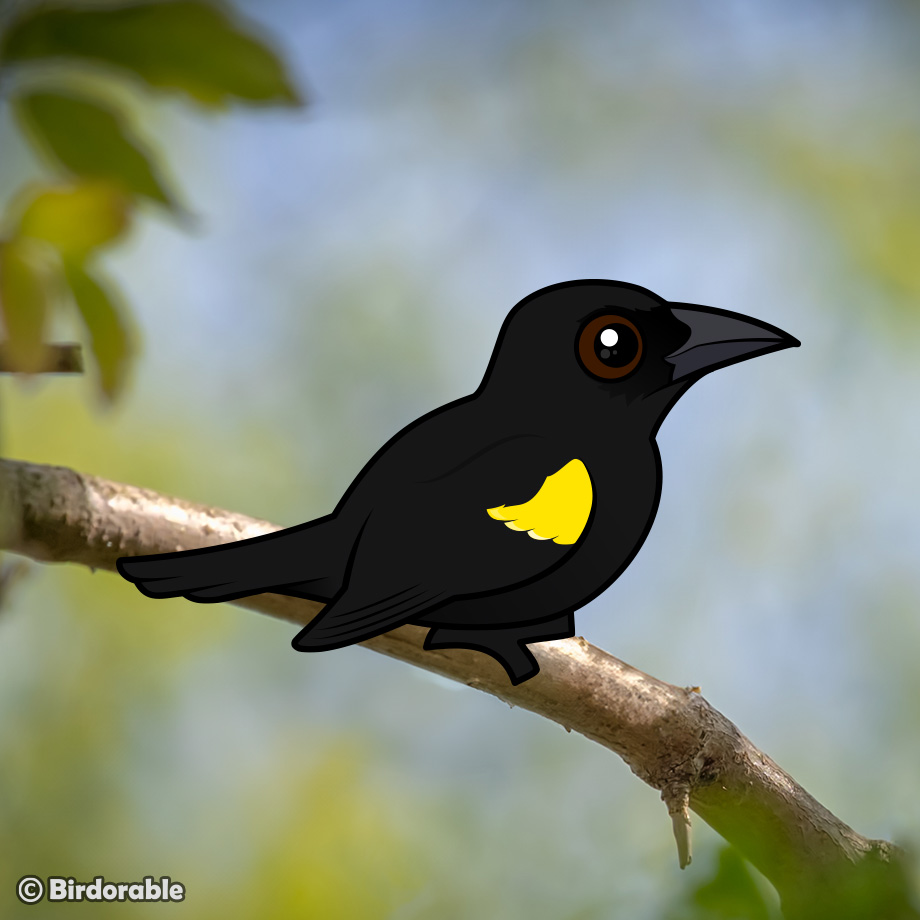 🇵🇷 Puerto Rico Week continues today with another new endemic bird added to Birdorable: the Yellow-shouldered Blackbird! 💛 Unfortunately this bird is critically endangered. 

👉 Read more at birdorable.com/blog/endangere…